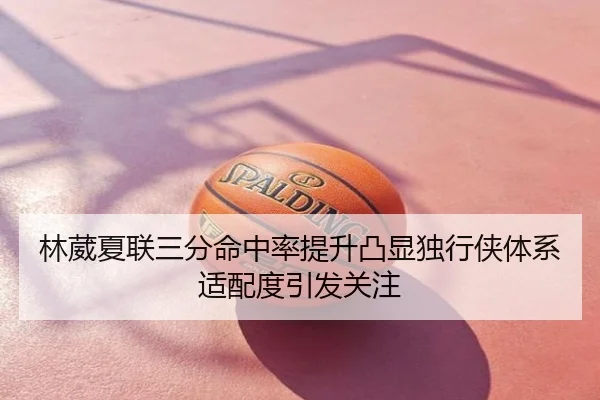 林葳夏联三分命中率提升凸显独行侠体系适配度引发关注