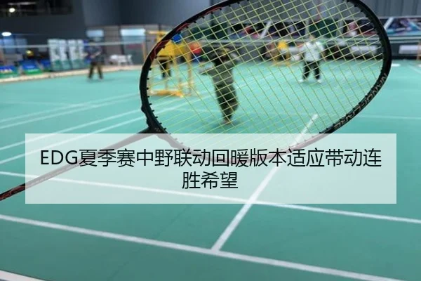 EDG夏季赛中野联动回暖版本适应带动连胜希望