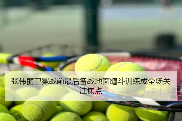 张伟丽卫冕战前最后备战地面缠斗训练成全场关注焦点
