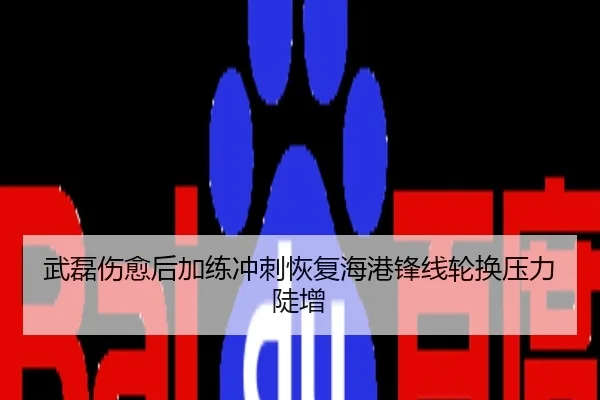 武磊伤愈后加练冲刺恢复海港锋线轮换压力陡增