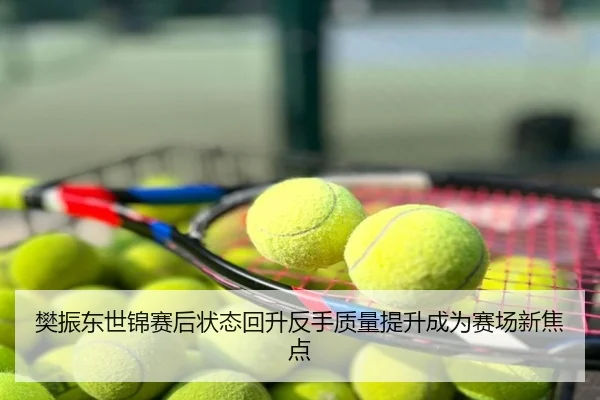 樊振东世锦赛后状态回升反手质量提升成为赛场新焦点