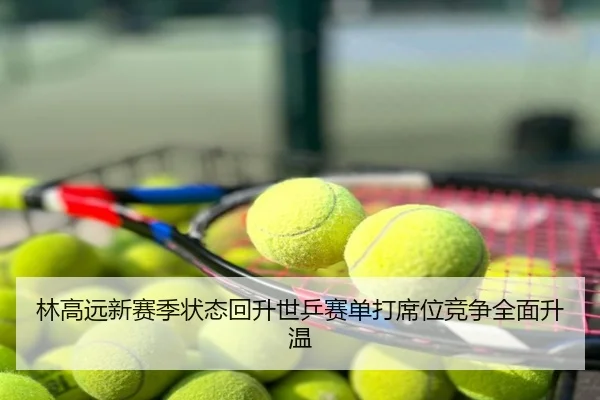 林高远新赛季状态回升世乒赛单打席位竞争全面升温